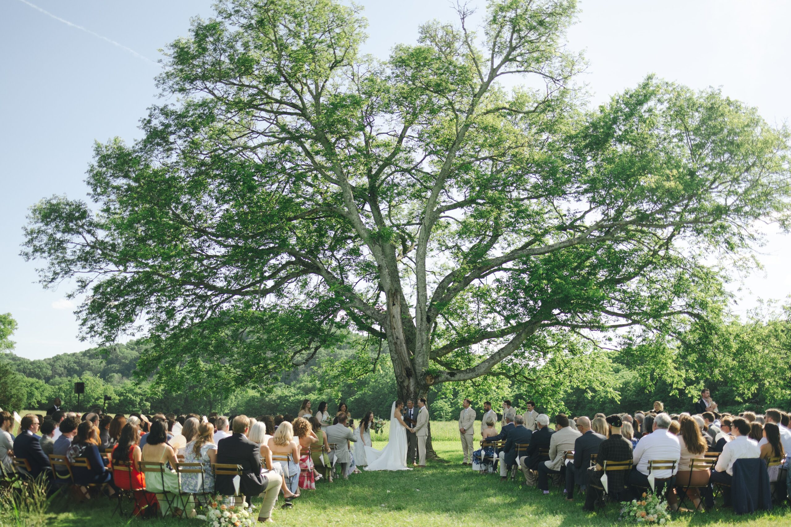 couple getting married under a big tree at one of the top wedding venues in nashville tn